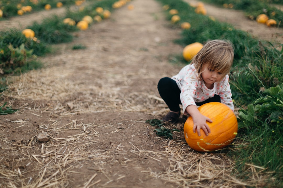 Photo Pumpkin patch